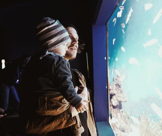 Bildnachweis: LIMESODA