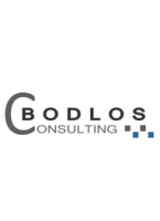 Bodlos Consulting