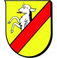 Stadtgemeinde Neumarkt am Wallersee