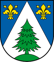 Marktgemeinde Neumarkt in der Steiermark